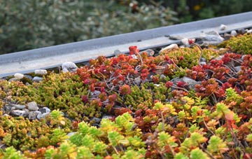 the cost of Balterley Heath green roof installation