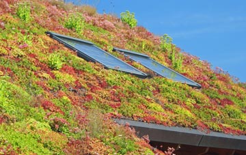 Balterley Heath living roof systems