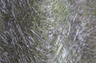 Balterley Heath fibreglass roof work